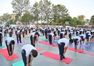 5313d242df21ace999abd069b0a084e3